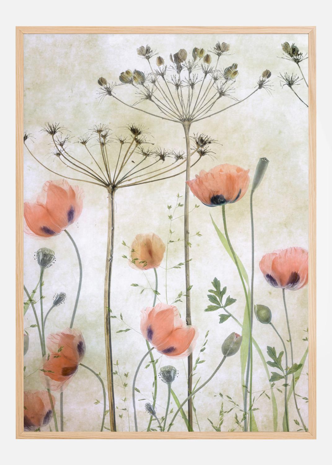 Product Image for Poppy Meadow Póster (21x29.7 cm (A4))