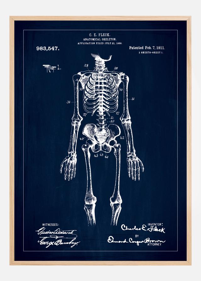 Desenho de patentes - Esqueleto anatómico I - Azul Póster