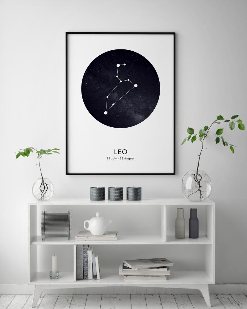 Leo Póster