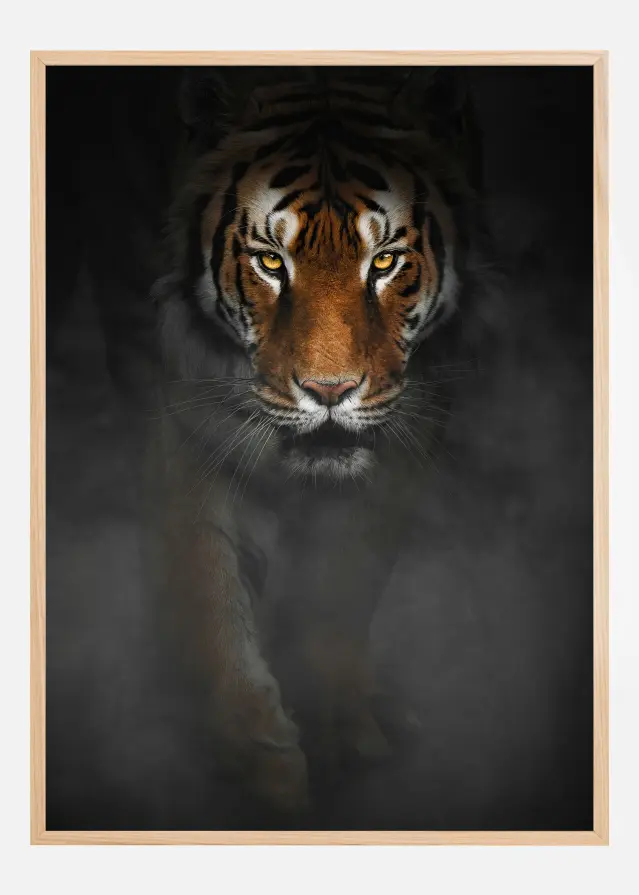 Intense Tiger Póster