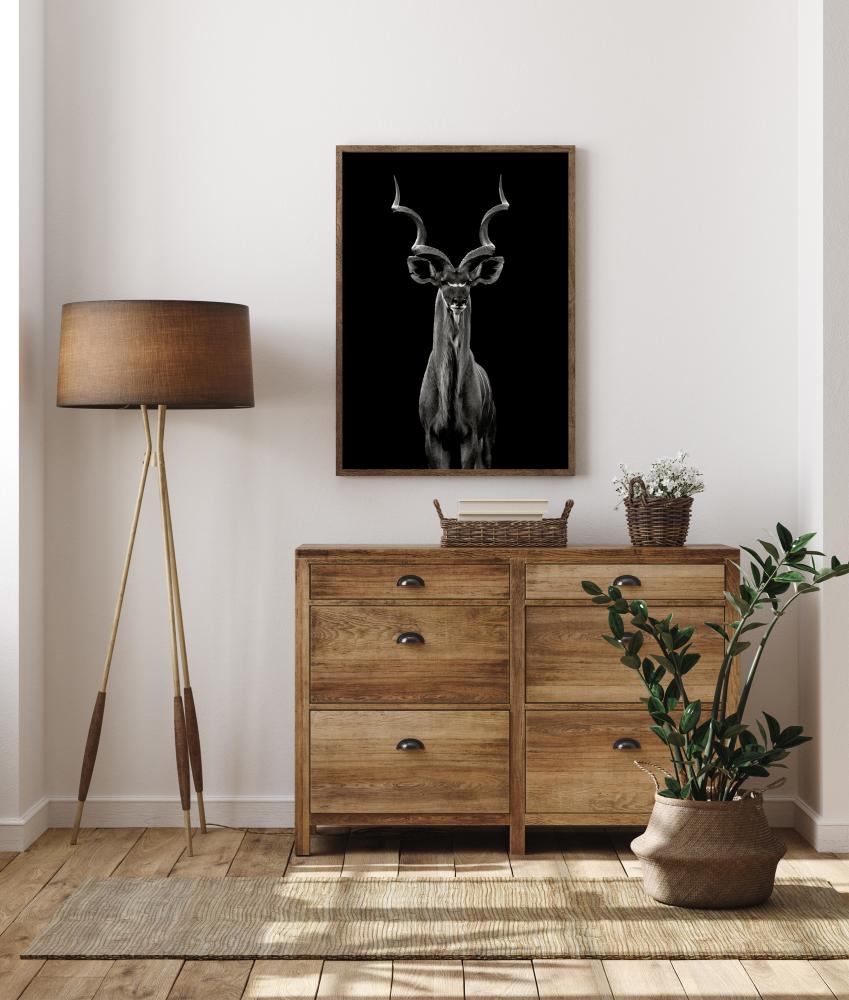 Greater Kudu Póster