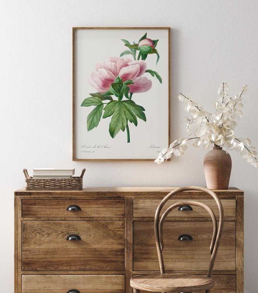 Peony Póster