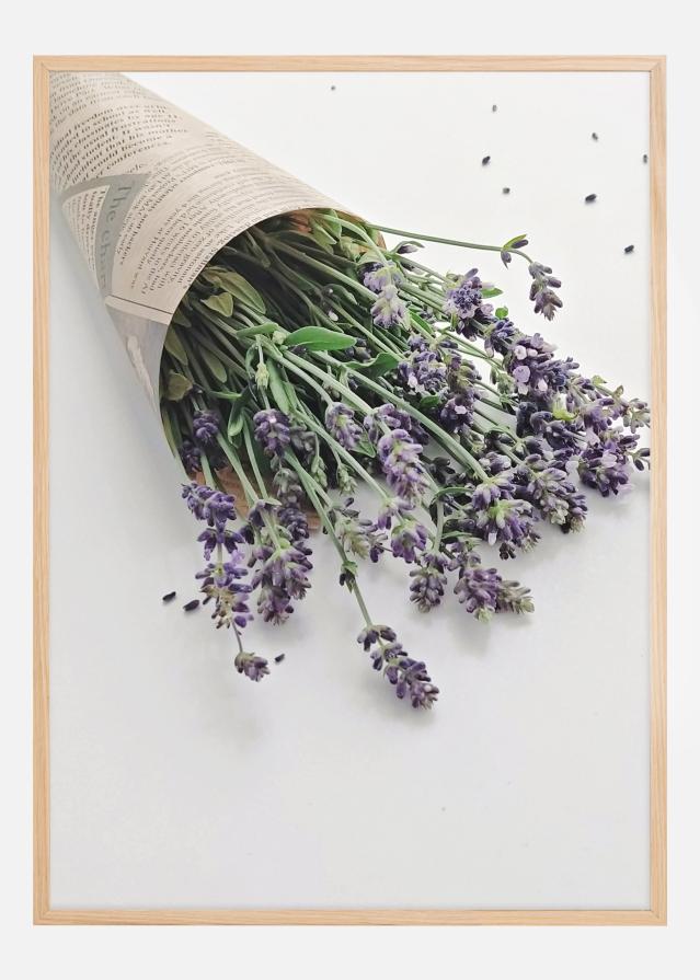 Lavender Póster