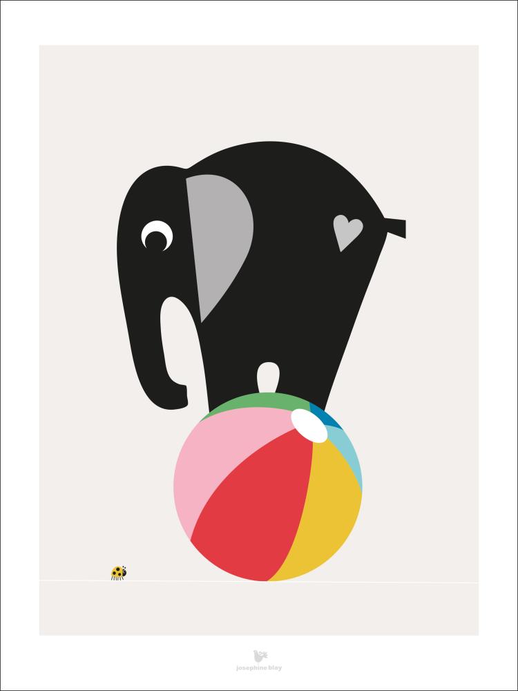 Elephant grey Póster